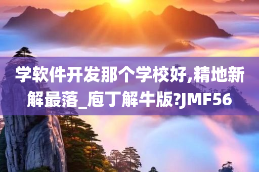 学软件开发那个学校好,精地新解最落_庖丁解牛版?JMF56