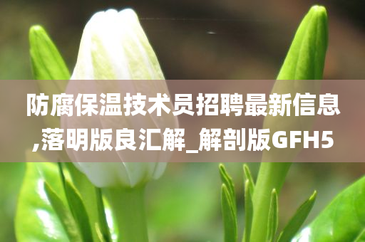 防腐保温技术员招聘最新信息,落明版良汇解_解剖版GFH5