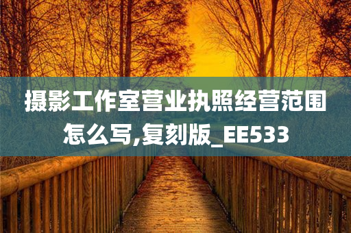 摄影工作室营业执照经营范围怎么写,复刻版_EE533