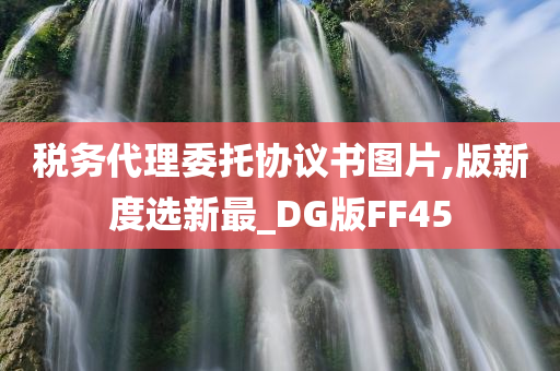 税务代理委托协议书图片,版新度选新最_DG版FF45