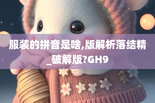 服装的拼音是啥,版解析落结精_破解版?GH9