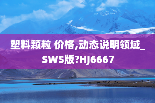 塑料颗粒 价格,动态说明领域_SWS版?HJ6667