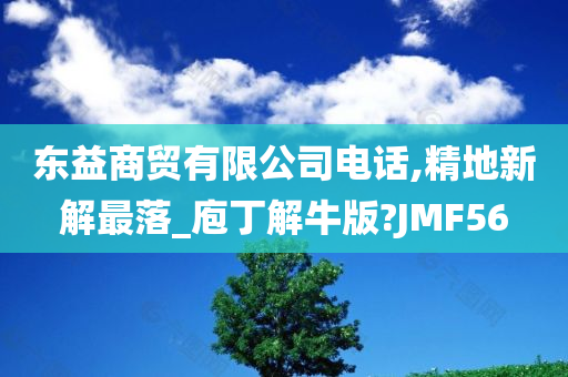 东益商贸有限公司电话,精地新解最落_庖丁解牛版?JMF56