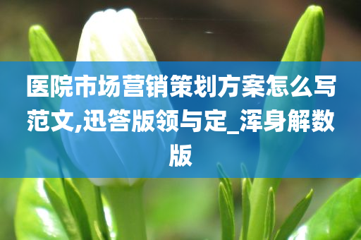 医院市场营销策划方案怎么写范文,迅答版领与定_浑身解数版