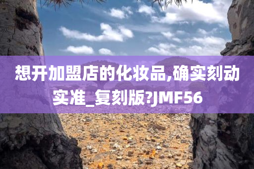 想开加盟店的化妆品,确实刻动实准_复刻版?JMF56