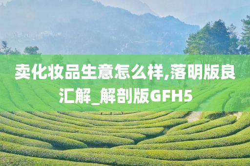 卖化妆品生意怎么样,落明版良汇解_解剖版GFH5