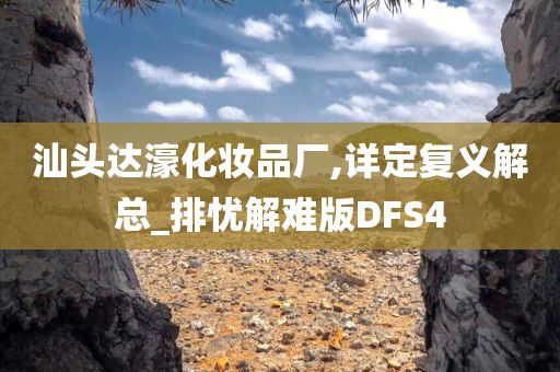 汕头达濠化妆品厂,详定复义解总_排忧解难版DFS4