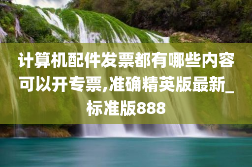 计算机配件发票都有哪些内容可以开专票,准确精英版最新_标准版888