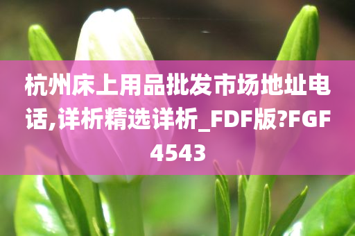 杭州床上用品批发市场地址电话,详析精选详析_FDF版?FGF4543