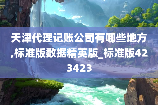 天津代理记账公司有哪些地方,标准版数据精英版_标准版423423