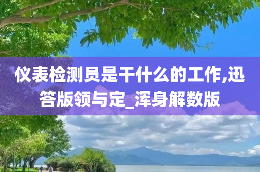 仪表检测员是干什么的工作,迅答版领与定_浑身解数版