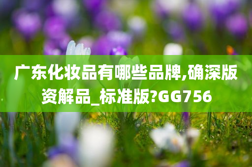 广东化妆品有哪些品牌,确深版资解品_标准版?GG756