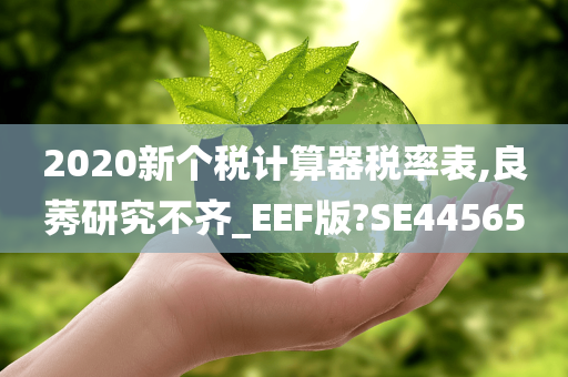 2020新个税计算器税率表,良莠研究不齐_EEF版?SE44565