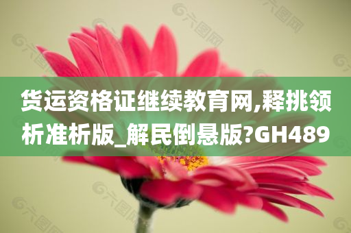 货运资格证继续教育网,释挑领析准析版_解民倒悬版?GH489