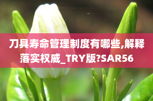 刀具寿命管理制度有哪些,解释落实权威_TRY版?SAR56