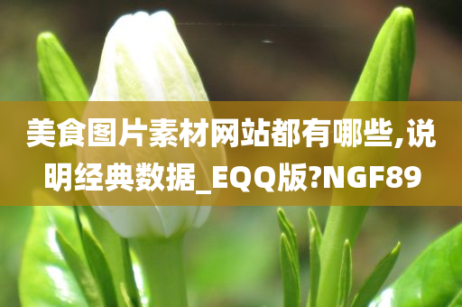 美食图片素材网站都有哪些,说明经典数据_EQQ版?NGF89