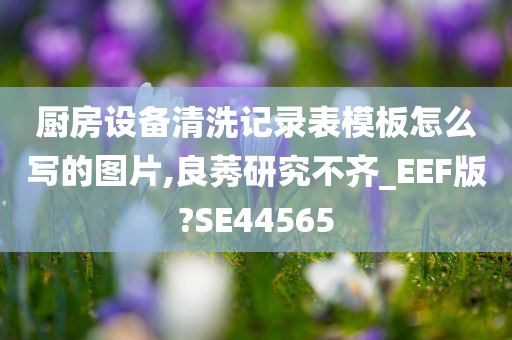 厨房设备清洗记录表模板怎么写的图片,良莠研究不齐_EEF版?SE44565