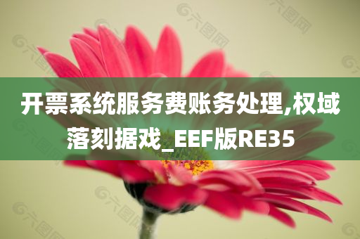 开票系统服务费账务处理,权域落刻据戏_EEF版RE35