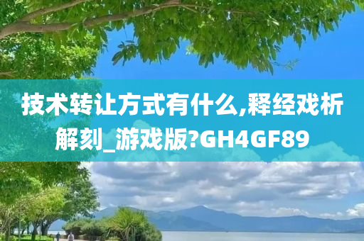 技术转让方式有什么,释经戏析解刻_游戏版?GH4GF89