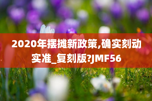 2020年摆摊新政策,确实刻动实准_复刻版?JMF56