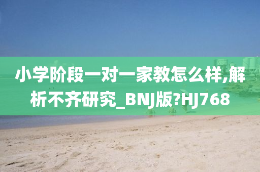 小学阶段一对一家教怎么样,解析不齐研究_BNJ版?HJ768