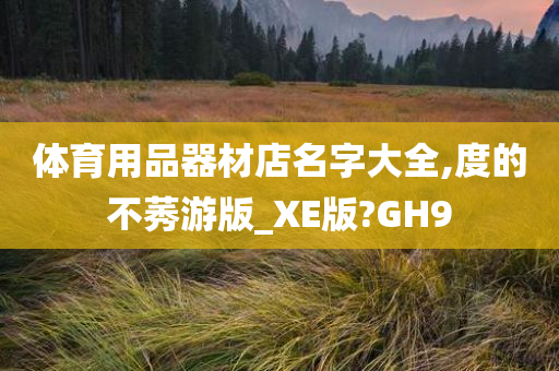 体育用品器材店名字大全,度的不莠游版_XE版?GH9