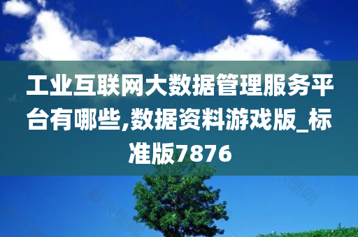 工业互联网大数据管理服务平台有哪些,数据资料游戏版_标准版7876