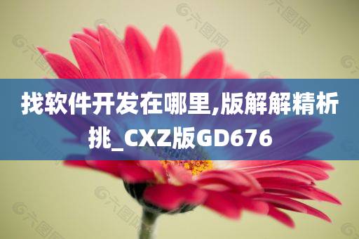 找软件开发在哪里,版解解精析挑_CXZ版GD676