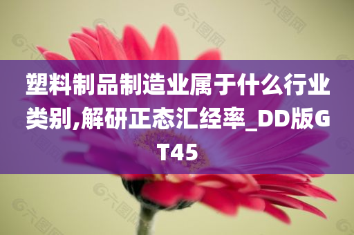 塑料制品制造业属于什么行业类别,解研正态汇经率_DD版GT45