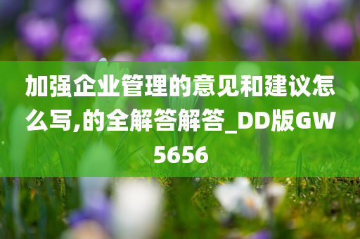 加强企业管理的意见和建议怎么写,的全解答解答_DD版GW5656