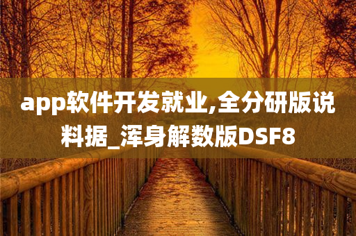 app软件开发就业,全分研版说料据_浑身解数版DSF8