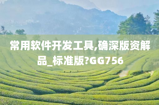 常用软件开发工具,确深版资解品_标准版?GG756