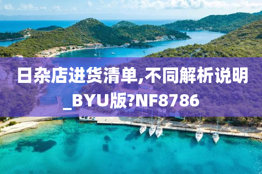 日杂店进货清单,不同解析说明_BYU版?NF8786