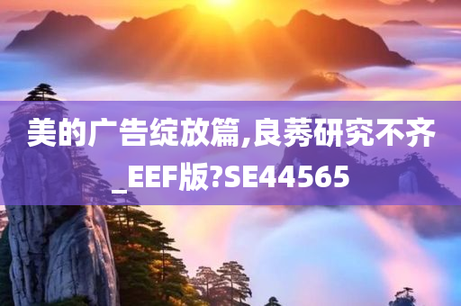 美的广告绽放篇,良莠研究不齐_EEF版?SE44565