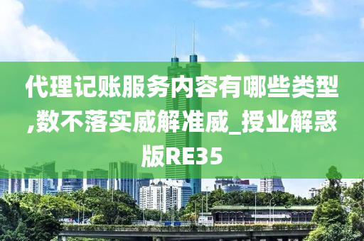 代理记账服务内容有哪些类型,数不落实威解准威_授业解惑版RE35