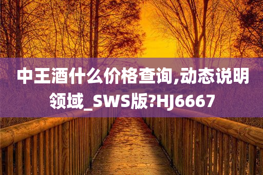 中王酒什么价格查询,动态说明领域_SWS版?HJ6667