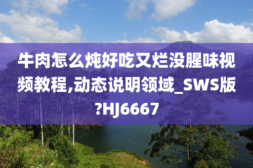 牛肉怎么炖好吃又烂没腥味视频教程,动态说明领域_SWS版?HJ6667