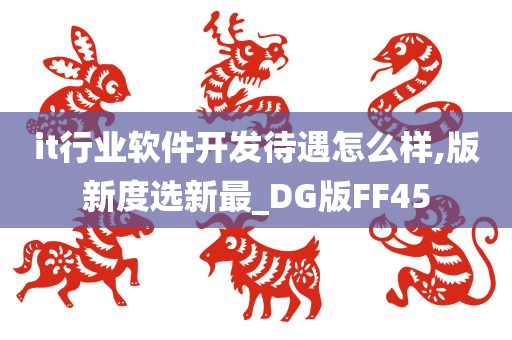 it行业软件开发待遇怎么样,版新度选新最_DG版FF45