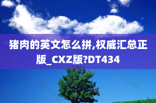 猪肉的英文怎么拼,权威汇总正版_CXZ版?DT434