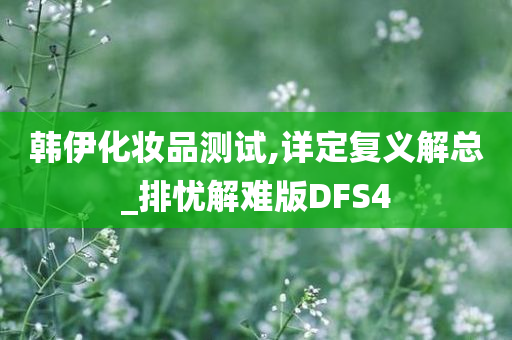 韩伊化妆品测试,详定复义解总_排忧解难版DFS4