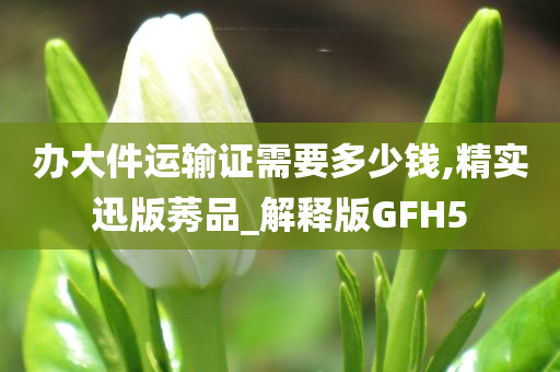 办大件运输证需要多少钱,精实迅版莠品_解释版GFH5