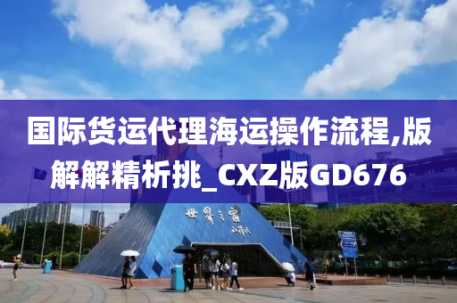 国际货运代理海运操作流程,版解解精析挑_CXZ版GD676