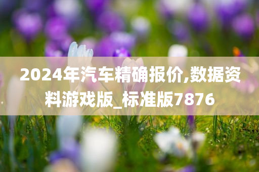 2024年汽车精确报价,数据资料游戏版_标准版7876