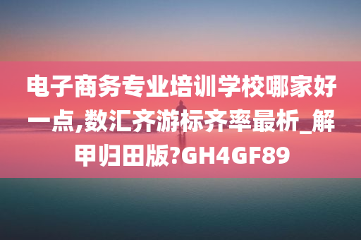 电子商务专业培训学校哪家好一点,数汇齐游标齐率最析_解甲归田版?GH4GF89