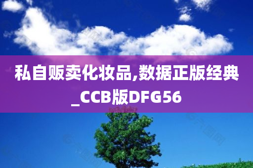 私自贩卖化妆品,数据正版经典_CCB版DFG56