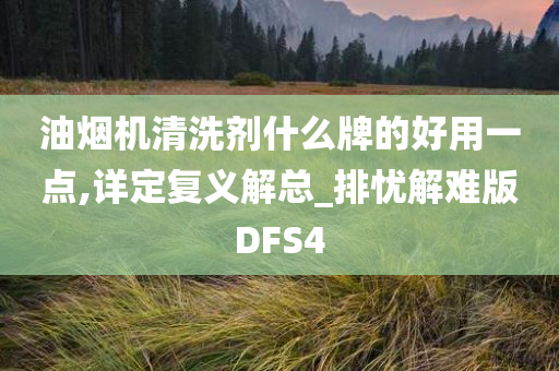 油烟机清洗剂什么牌的好用一点,详定复义解总_排忧解难版DFS4