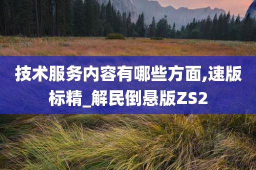 技术服务内容有哪些方面,速版标精_解民倒悬版ZS2