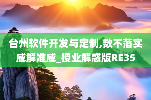 台州软件开发与定制,数不落实威解准威_授业解惑版RE35