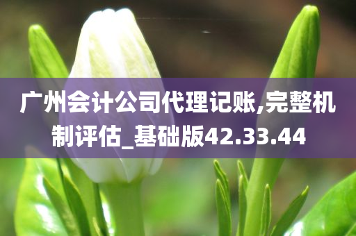 广州会计公司代理记账,完整机制评估_基础版42.33.44