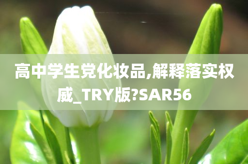 高中学生党化妆品,解释落实权威_TRY版?SAR56